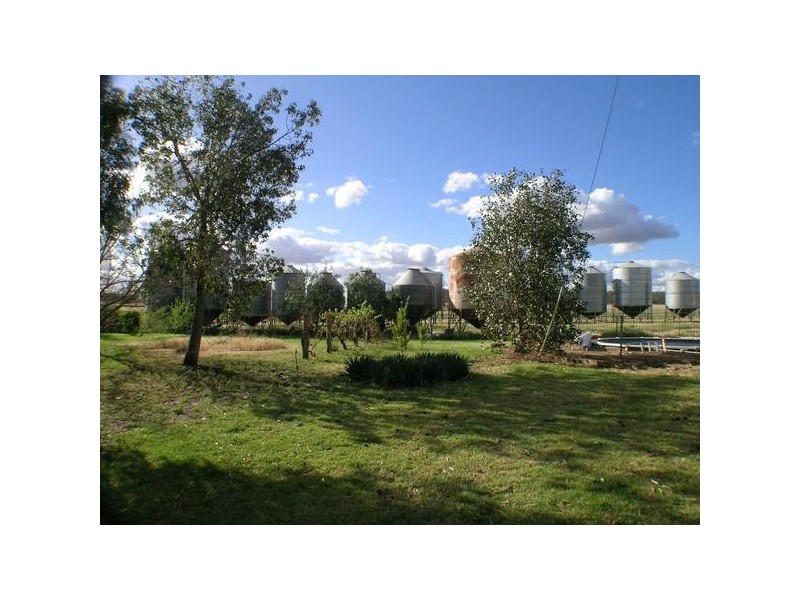 - ‘Oky Doky’, Tabbita NSW 2652