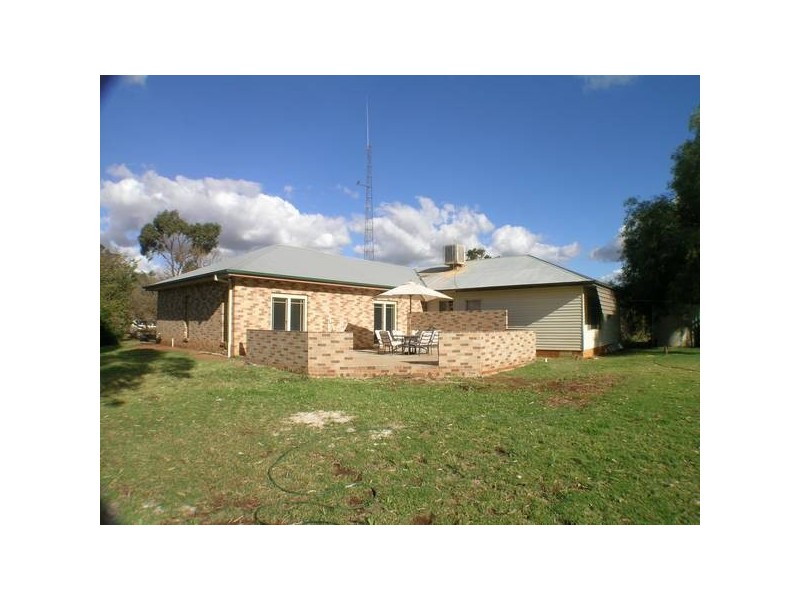 - ‘Oky Doky’, Tabbita NSW 2652