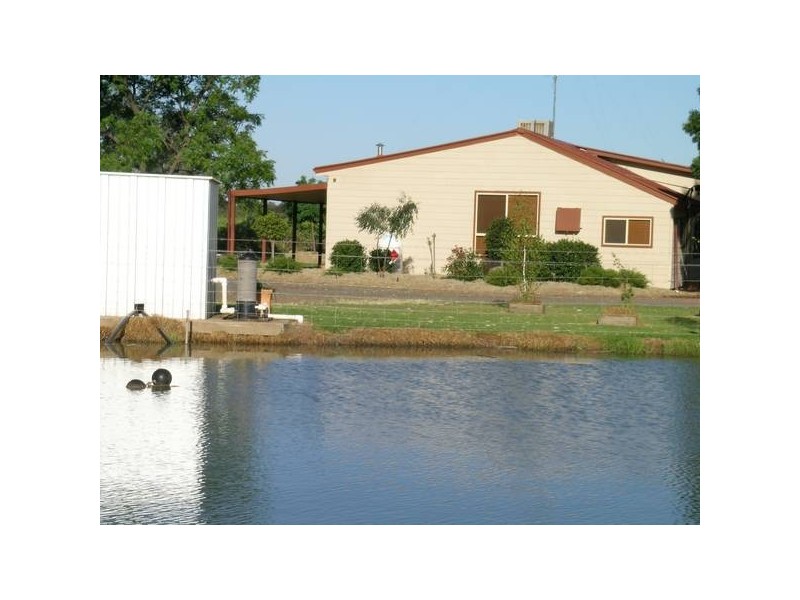 1352 Rodgers Road, Yenda NSW 2681