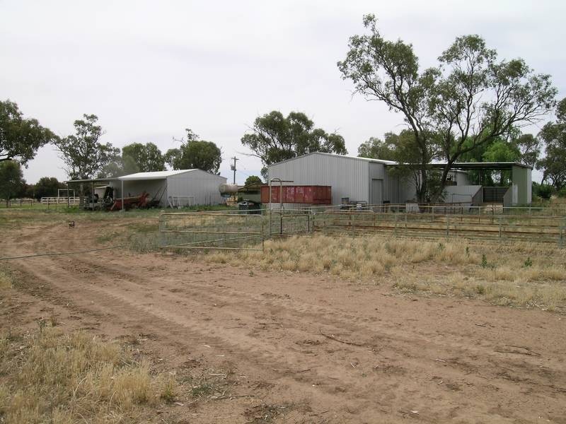 1881 Lodge Road, Murrami NSW 2705