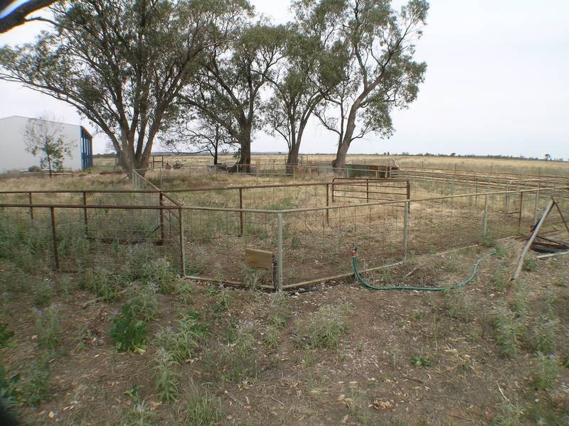 1881 Lodge Road, Murrami NSW 2705