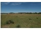 * Wandobah Road, Gunnedah NSW 2380