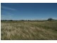 + Wandobah Road, Gunnedah NSW 2380