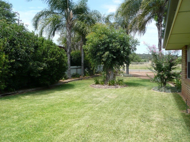 56 Lincoln Street, Gunnedah NSW 2380