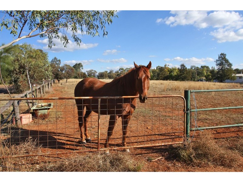 10-12 Carlyon Avenue, Gunnedah NSW 2380