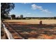 10-12 Carlyon Avenue, Gunnedah NSW 2380