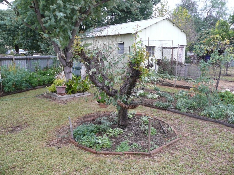 133 Little Bloomfield Street, Gunnedah NSW 2380