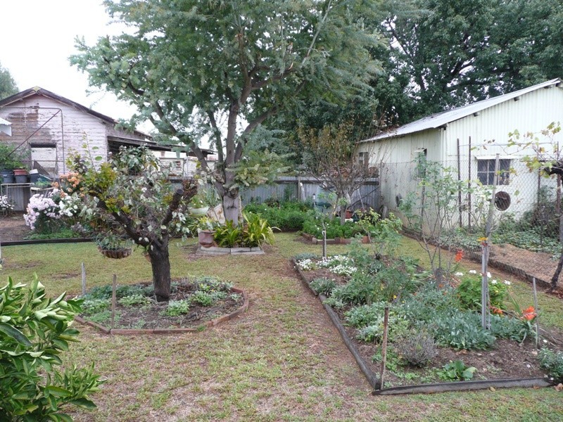 133 Little Bloomfield Street, Gunnedah NSW 2380