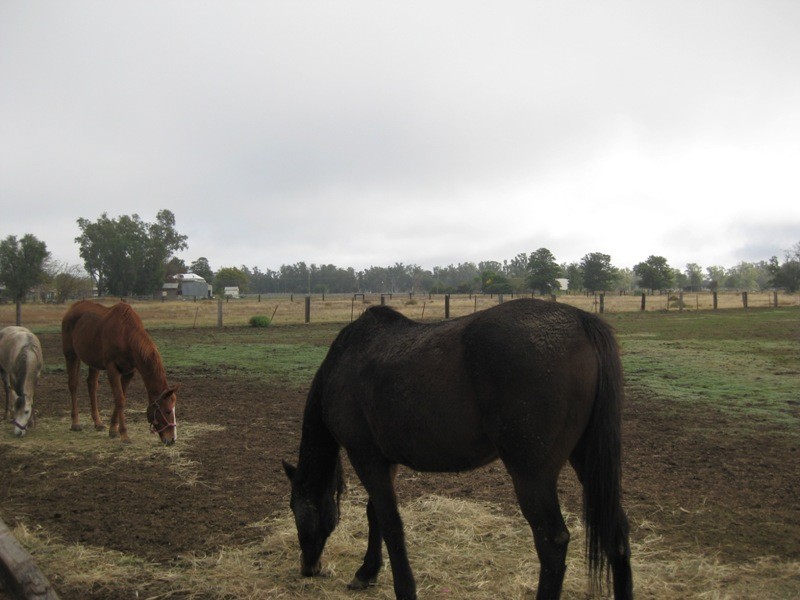 71-81 Talibah Street, Gunnedah NSW 2380