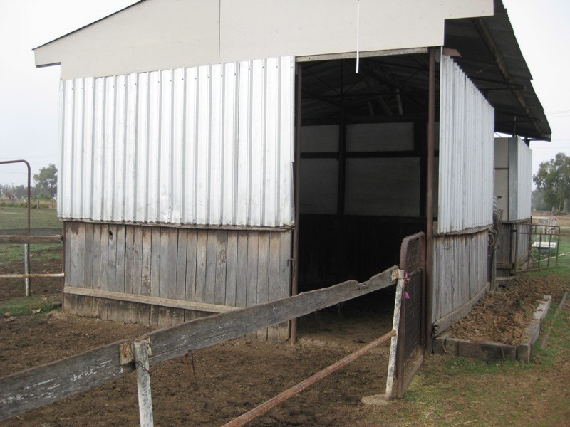 71-81 Talibah Street, Gunnedah NSW 2380