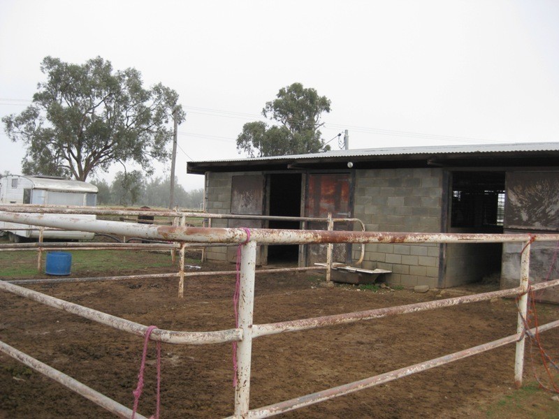 71-81 Talibah Street, Gunnedah NSW 2380