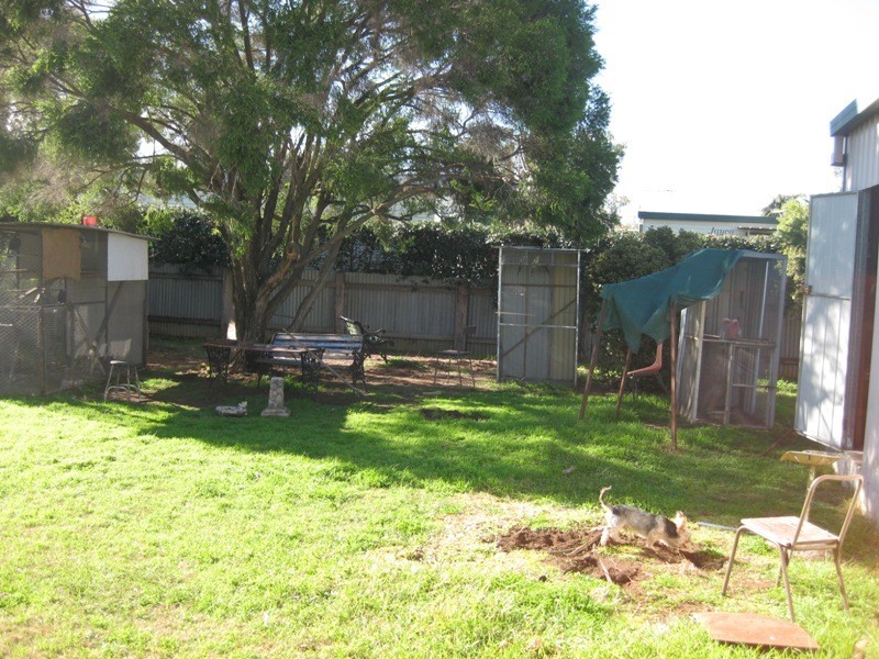 144 Little Bloomfield Street, Gunnedah NSW 2380