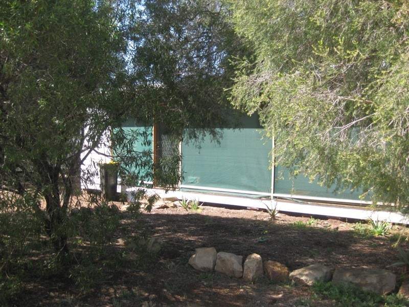 11 Donaldson Street, Curlewis NSW 2381