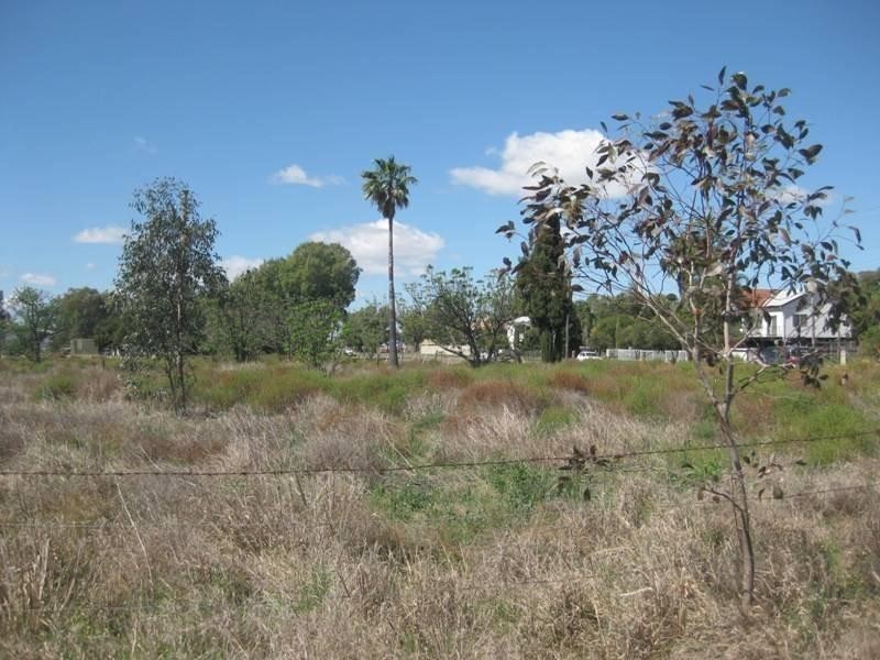 32-34 Bloomfield Street, Gunnedah NSW 2380