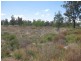 32-34 Bloomfield Street, Gunnedah NSW 2380