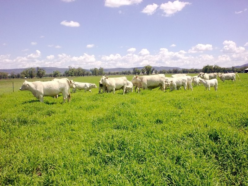 Marriot Pk Kamilaroi Highway, Gunnedah NSW 2380