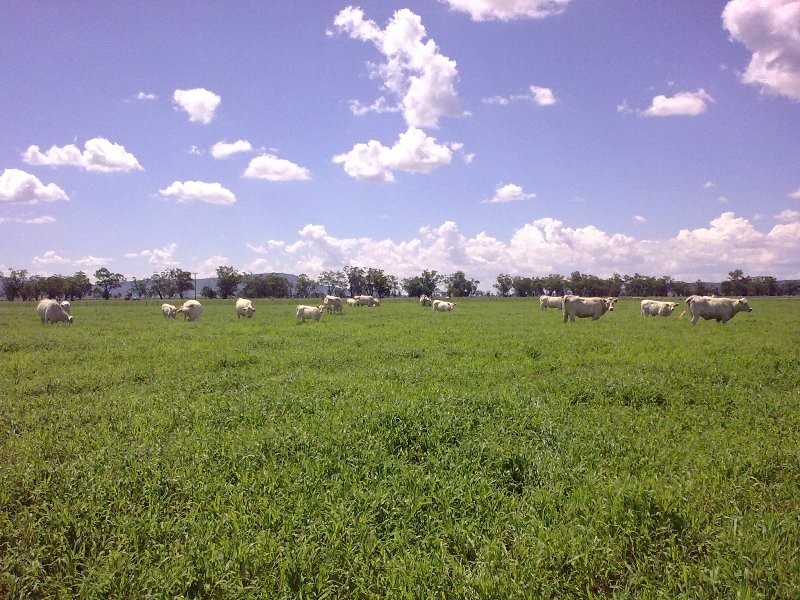 Marriot Pk Kamilaroi Highway, Gunnedah NSW 2380