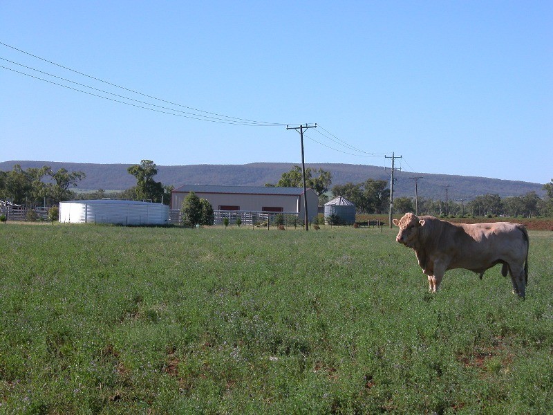 Marriot Pk Kamilaroi Highway, Gunnedah NSW 2380