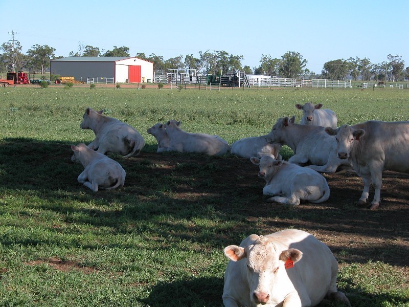 Marriot Pk Kamilaroi Highway, Gunnedah NSW 2380