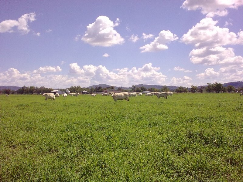 Marriot Pk Kamilaroi Highway, Gunnedah NSW 2380