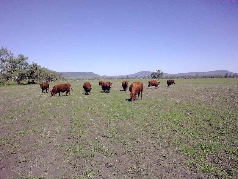 Marriot Pk Kamilaroi Highway, Gunnedah NSW 2380