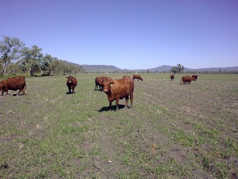 Marriot Pk Kamilaroi Highway, Gunnedah NSW 2380