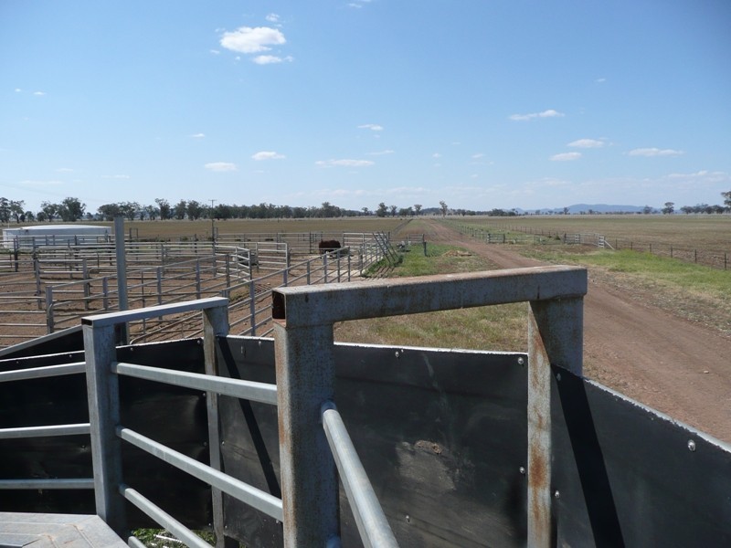 Marriot Pk Kamilaroi Highway, Gunnedah NSW 2380