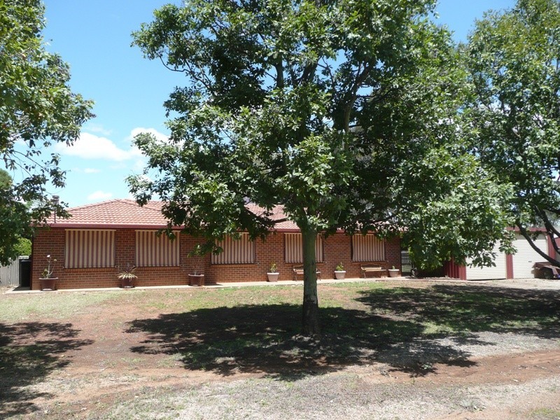 41 Pullaming Street, Curlewis NSW 2381