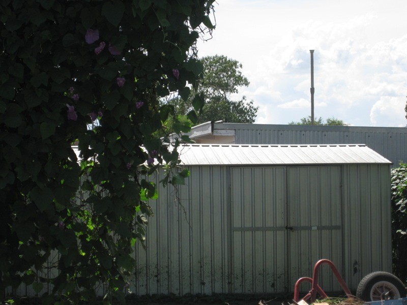 38 Rosemary Street, Gunnedah NSW 2380