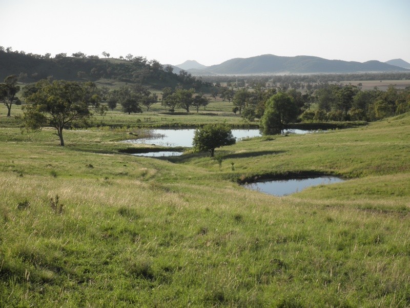 Limerock Clifton Road, Carroll NSW 2340