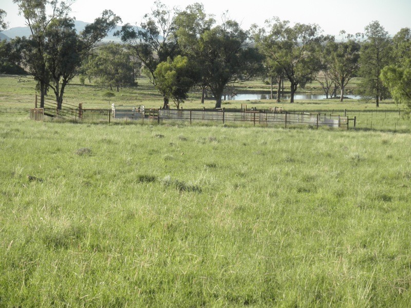 Limerock Clifton Road, Carroll NSW 2340