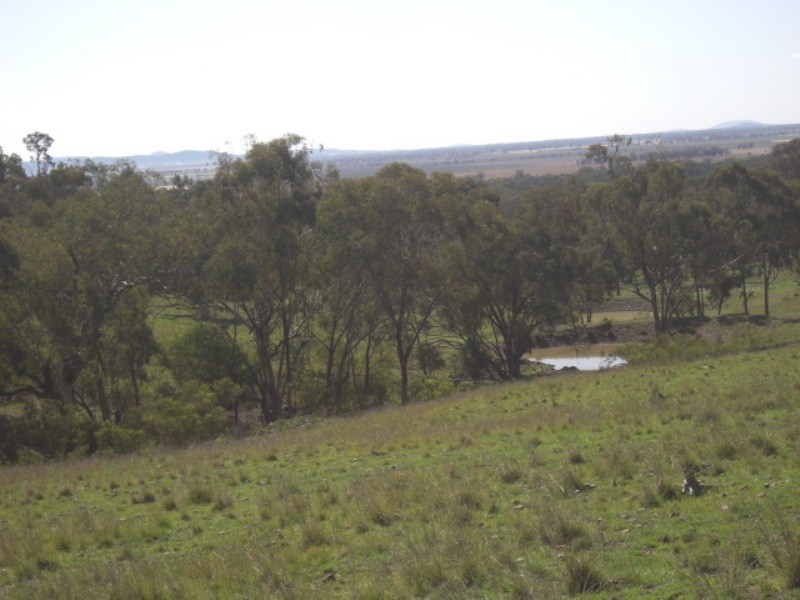 Limerock Clifton Road, Carroll NSW 2340