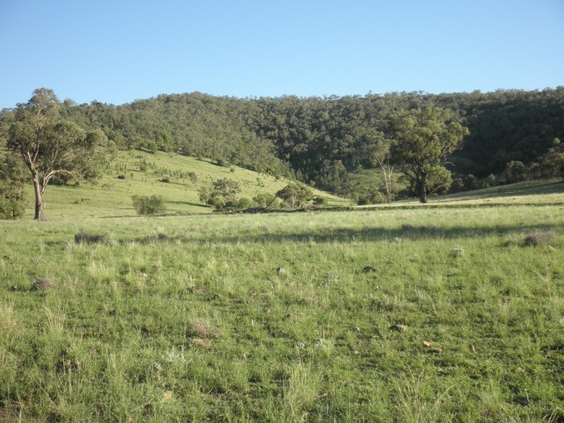 Limerock Clifton Road, Carroll NSW 2340