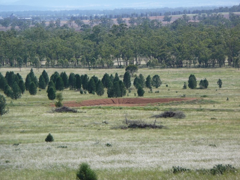* Ghooli Road, Gunnedah NSW 2380