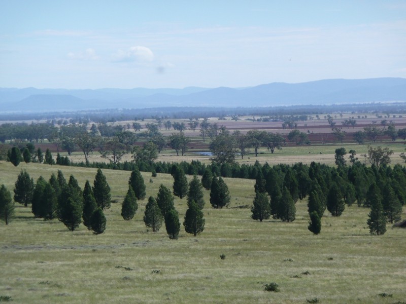 * Ghooli Road, Gunnedah NSW 2380