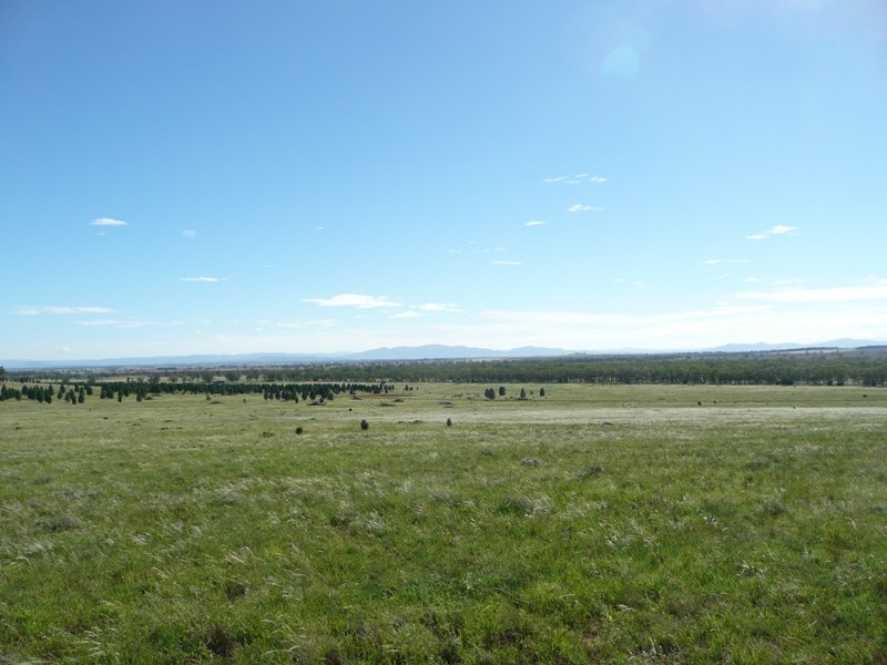 * Ghooli Road, Gunnedah NSW 2380