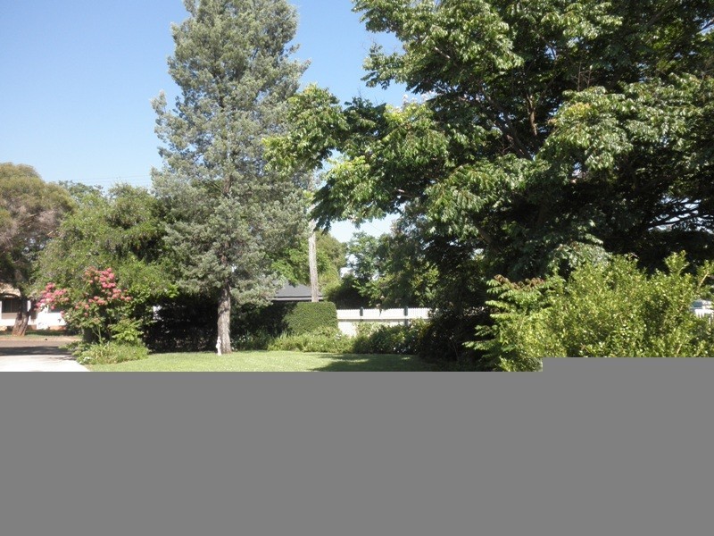 2 Porcupine Street, Gunnedah NSW 2380