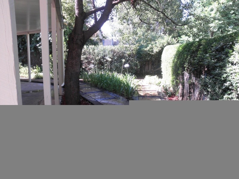 2 Porcupine Street, Gunnedah NSW 2380