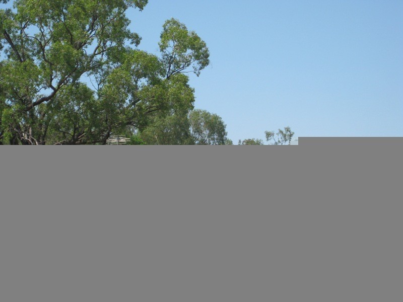 15 Goran Street, Curlewis NSW 2381