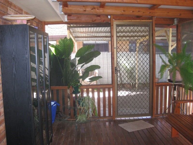 66 Donaldson Street, Curlewis NSW 2381