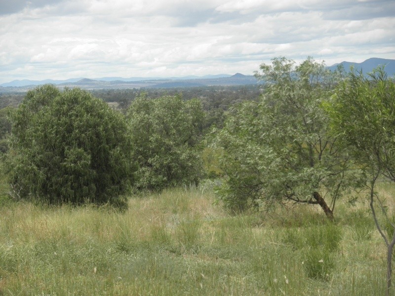 165-169 Kamilaroi Road, Gunnedah NSW 2380