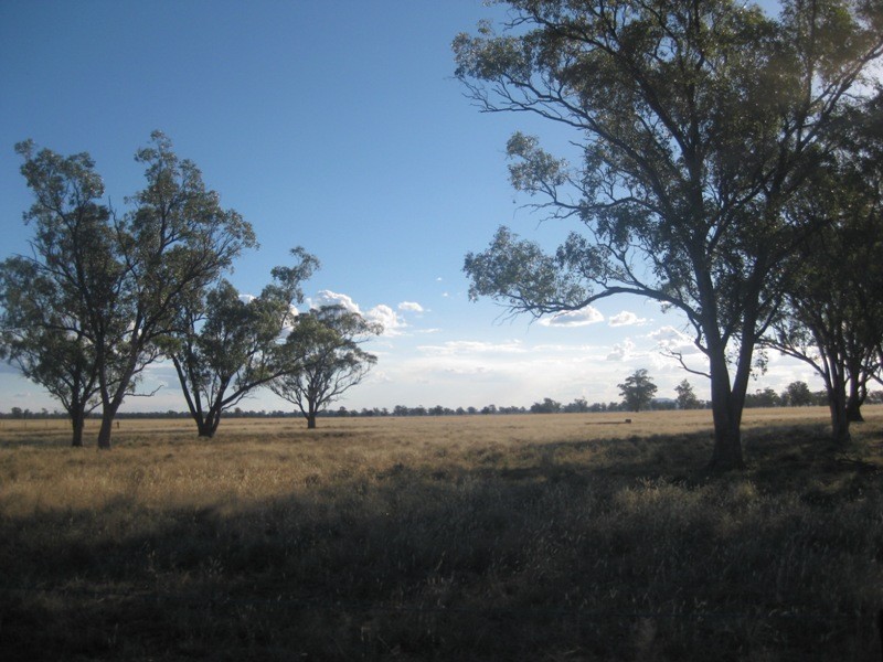 1585 Wean Road, Gunnedah NSW 2380