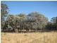 1585 Wean Road, Gunnedah NSW 2380