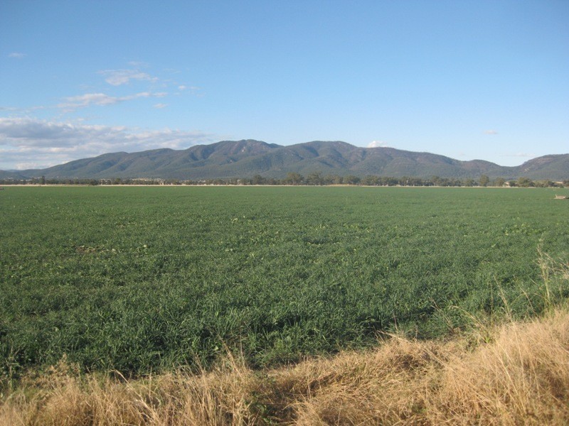 1585 Wean Road, Gunnedah NSW 2380