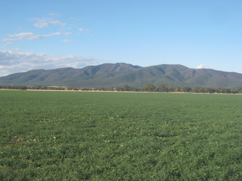 1585 Wean Road, Gunnedah NSW 2380