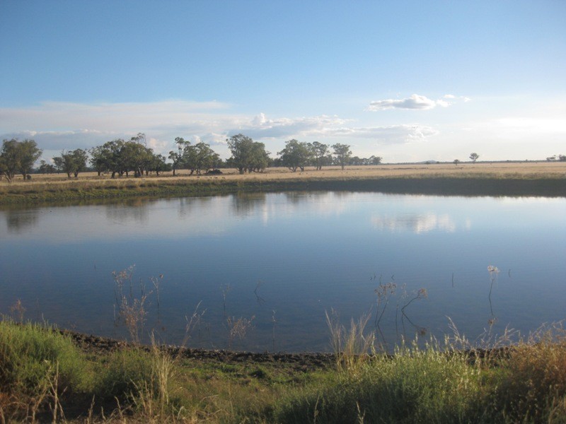 1585 Wean Road, Gunnedah NSW 2380