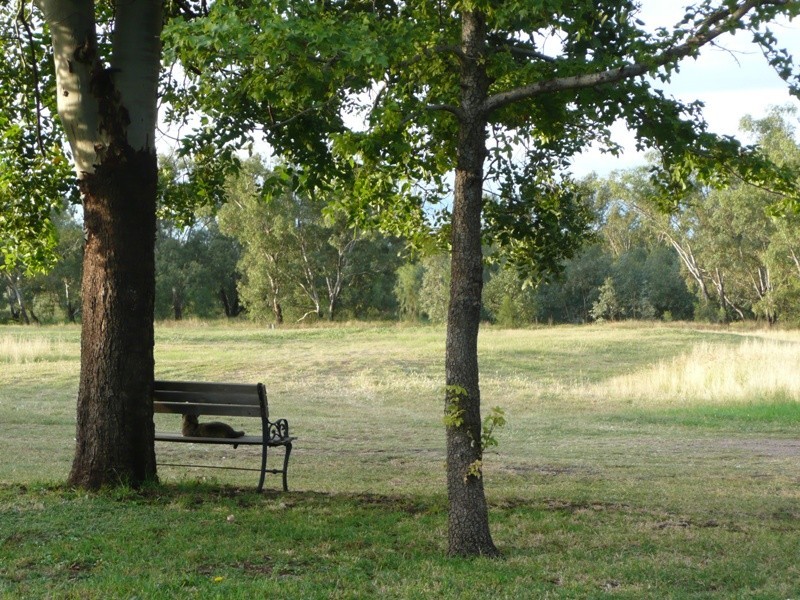 165 Little Bloomfield Street, Gunnedah NSW 2380