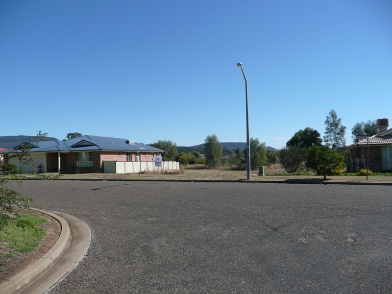 17 Hinton Drive, Gunnedah NSW 2380