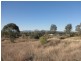 * Lloyd Road, Gunnedah NSW 2380
