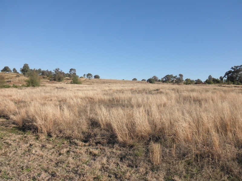 * Lloyd Road, Gunnedah NSW 2380